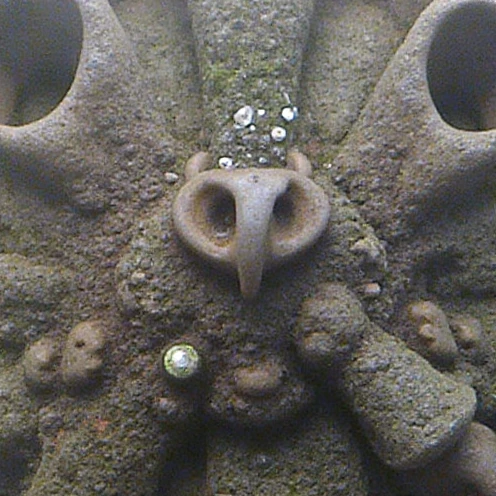 Humana Gold Plus Hmo